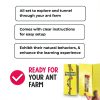 1 Tube of Live Ants Plus Ant Food, Honey Treat, & Book, Ant Habitat Kit Refill-4