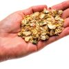 1 Tube of Live Ants Plus Ant Food, Honey Treat, & Book, Ant Habitat Kit Refill-6