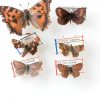 350 Pcs Stainless Steel Insect Pins, Specimen Entomology Pins 7 Sizes Entomology Supplies with Vials and Labels Butterfly Collection Needles for Butterflies, Dragonfly Collections-4