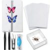 Taiyin Insect Specimen Tools Kit with Display Case and EVA Foam Boards-0