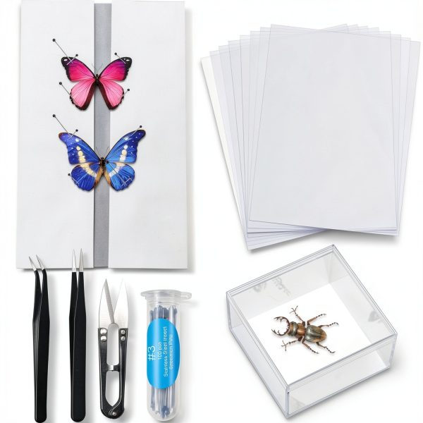 Taiyin Insect Specimen Tools Kit with Display Case and EVA Foam Boards-0